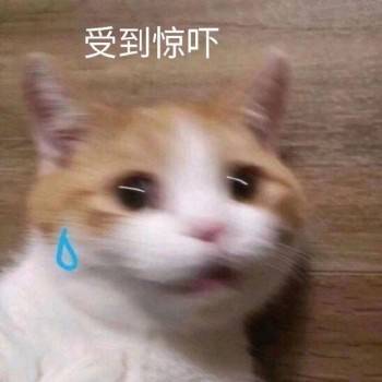  牙科医生推荐,不伤牙的零食家长快收藏