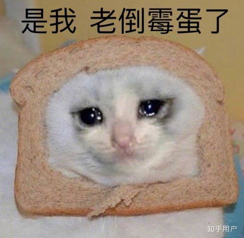 小声bb表情包猫耳朵好想