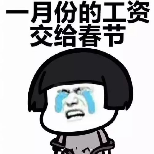  当别人问你工资哪去了,你就发这个给他,