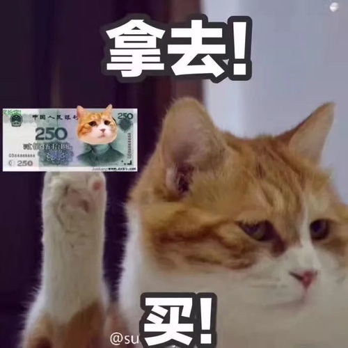  这个双十一我不光没钱买买买,我还被塞了一嘴狗粮
