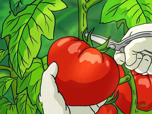 文案很多事失望到最后就是无所谓 文案很多事失望到最后就是无所谓