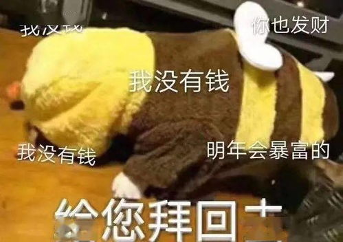  迎新年系列活动一键解锁你的叹为观纸