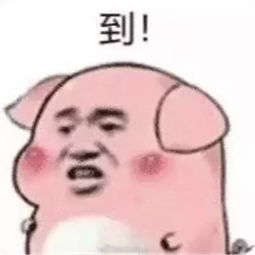  至萌新的一封信