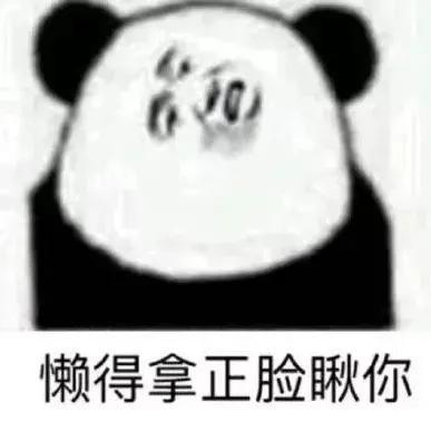  搞笑表情包说的挺好的,下次别说了