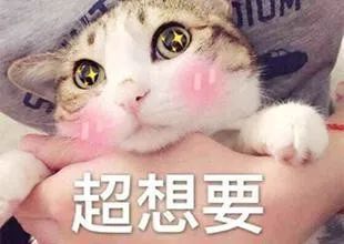  疯狂种草火遍抖音的带娃神器,每一样都好用到哭