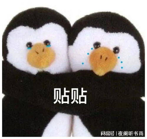  聊天必备表情包317可爱搞怪沙雕表情包
