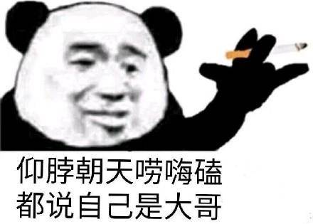 熊猫膨胀表情包如来神掌