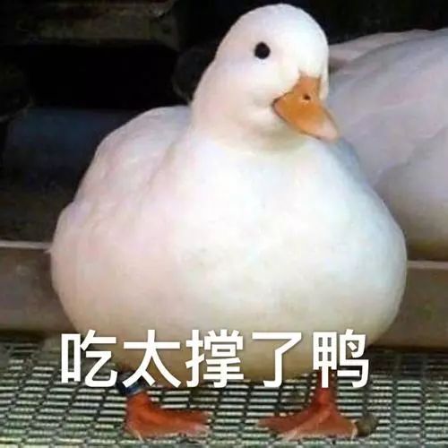  过瘾鸭蛋吃出螃蟹的味道,我们办公室都抢疯了