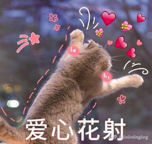  腿粗的矮个子女生怎么过冬,冬天集美们救救我吧不要问我为啥在夏天考虑冬天的穿搭,防患于未然