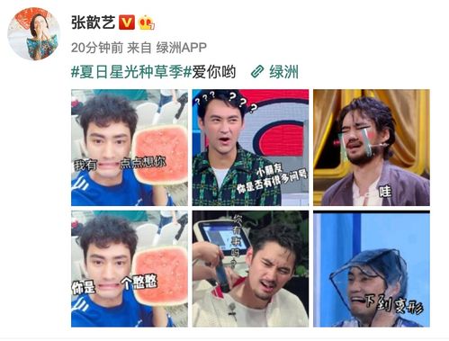  组图头号黑粉上线张歆艺绿洲晒老公袁弘表情包秀别样恩爱