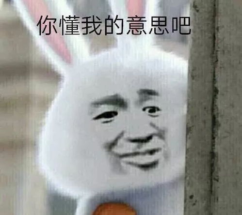 你懂我表情包大全懂了