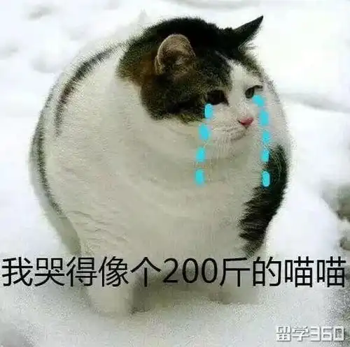 听说你拿到了10000澳元奖学金住宿费还减半 听说你拿到了10000澳元奖学金住宿费还减半