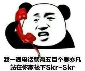  嘻哈skr表情包下载嘻哈表情包skr下载飞翔下载