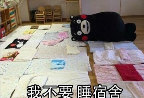  开学前vs开学后,4张图差距一目了然,看后大学生表示很心酸