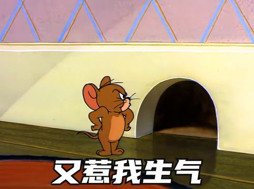  如何惩罚男朋友表情包猫和老鼠艾特你想艾特的人