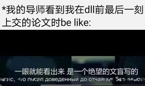  论文表情包