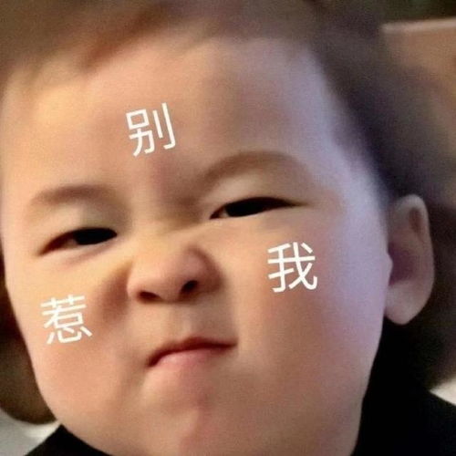  黄夏温表情包合集别惹我