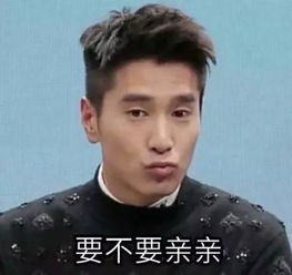  赵又廷整容般演技不如表情包姑父活跃的像高仿