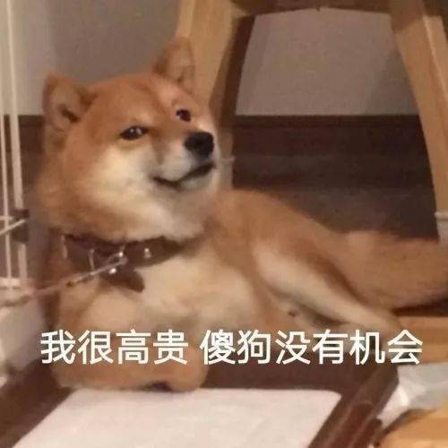  保洁阿姨坐100万的车上班震惊我妈