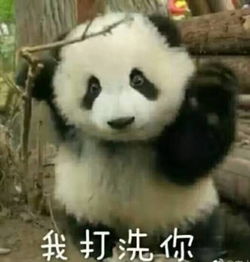  内购会点燃今夏的不止战狼二,博乐苏泊尔炊具大型内购会强势登录博乐友好超市
