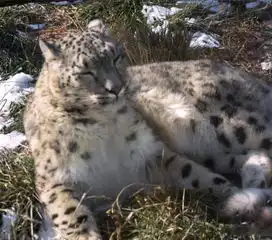 中新网福建福建新闻,华侨,闽商,海峡两岸中新社福建 中新网福建福建新闻,华侨,闽商,海峡两岸中新社福建