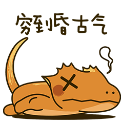  geckohomies小守宫的日常vx表情篇