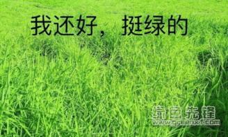  我先干为敬表情包超有趣我先干为敬表情素材包无水印版软件下载