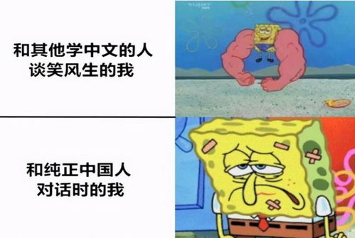  外国人用表情包吐槽汉语难,大学生像极了我学英语,太搞笑