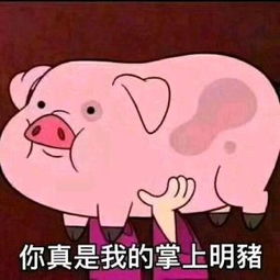  你愿意做我的猪吗表情包