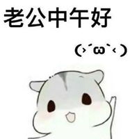 小松鼠表情包原图