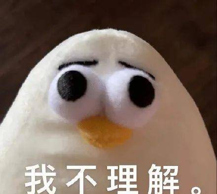 小鹦鹉表情包q版女主播