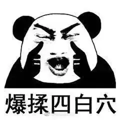 太真实了熊猫表情包眼保