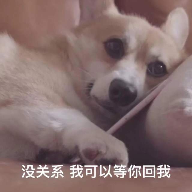  我想送给男生一些两性忠告,女生们,请不要点开