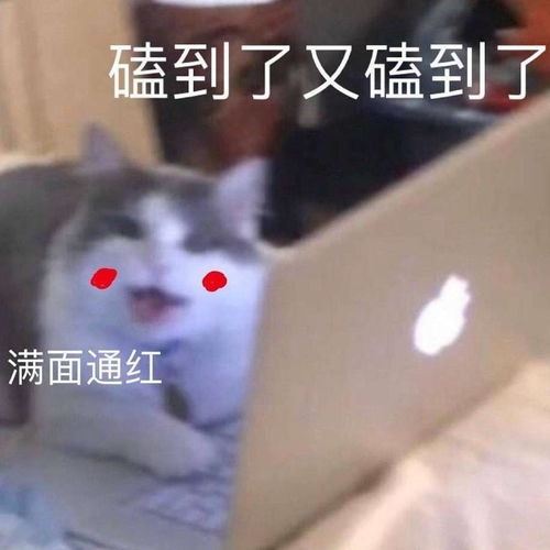  可能剧透这剧每个人物都好可爱呀