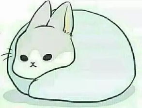  如何应对考试前的马冬梅魔咒