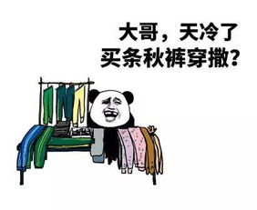  秋裤表情包赠送一大波表情包