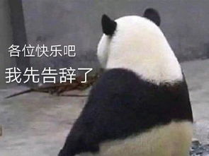  王自如鬼畜区热度直逼真香,连雷军都开始调侃,网友凉了