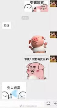  晒下你和男朋友怼聊天的表情包截图
