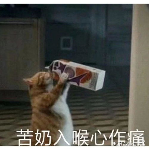  都说,人生本是苦的,快乐是对痛苦暂时的缓解那么,人为什么要来到这世上人生的意义在哪里