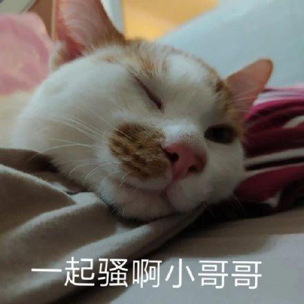  搞笑gif开心一刻美女,你这是在干什么