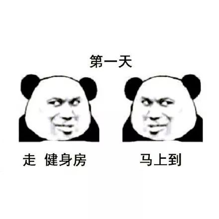 表情包哪里来的减肥