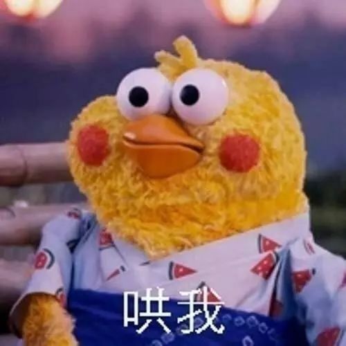  动感乐园丨缤纷世界奇乐无穷