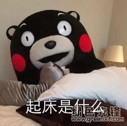  抖音起床是什么表情包起床是什么表情素材v1.0免费版软件下载