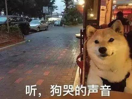  虐狗节又双叒叕来啦汉中情侣10大约会圣地...