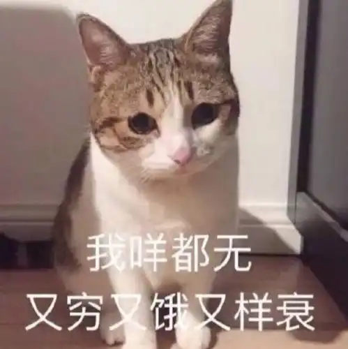 声卡界的返璞归真,blacklionaudio黑狮revolution2x2声卡简评 声卡界的返璞归真,blacklionaudio黑狮revolution2x2声卡简评