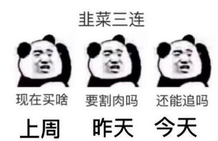  新股民大举进场,延续反弹需要三大条件