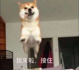  社保大变,已经落地本月昆山一批新规来了