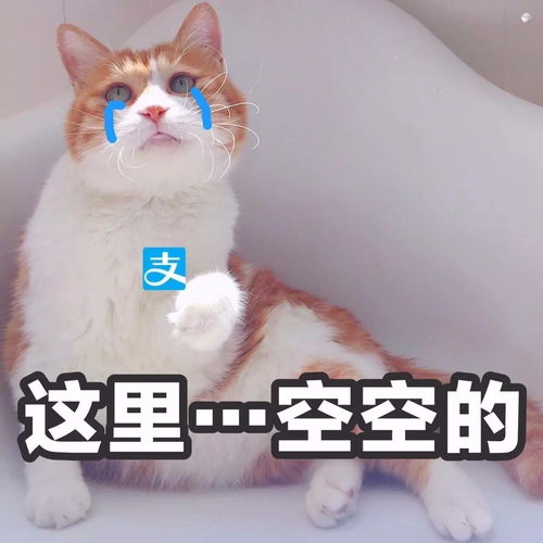  测评带你看遍五大网红美容仪,找出真正的护肤神器