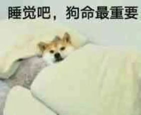 头疼表情包图片狗命