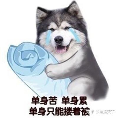  22岁还单身,是什么情况